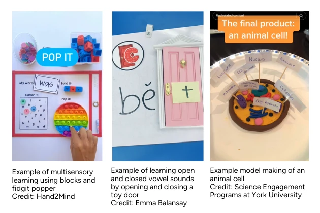 Examples of multisensory learning across different ages