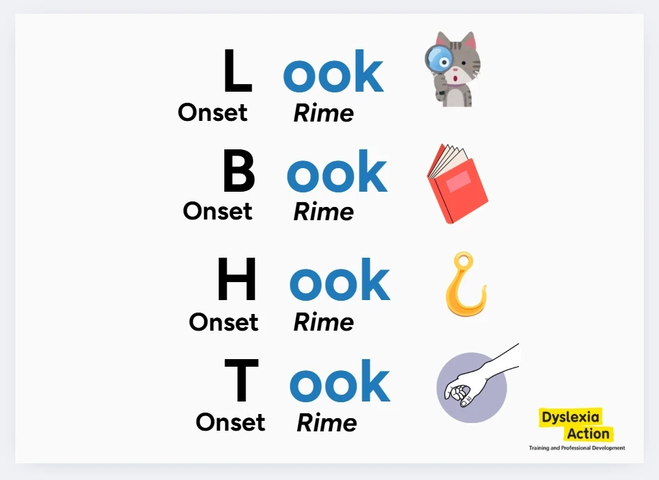 A graphic showing onset and rimes for the words Look, Book, Hook and Took